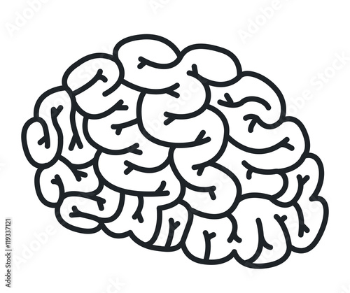 brain storm isolated icon vector illustration design