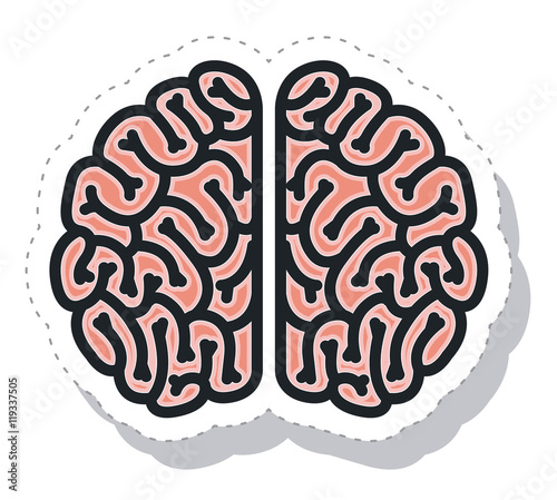 brain storm isolated icon vector illustration design
