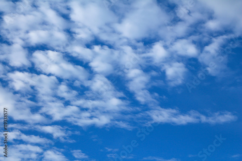 The sky with soft clouds.