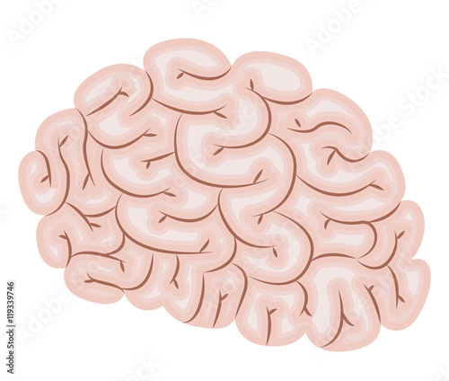 brain storm isolated icon vector illustration design