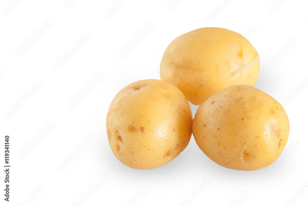 potato on white background potato on white background