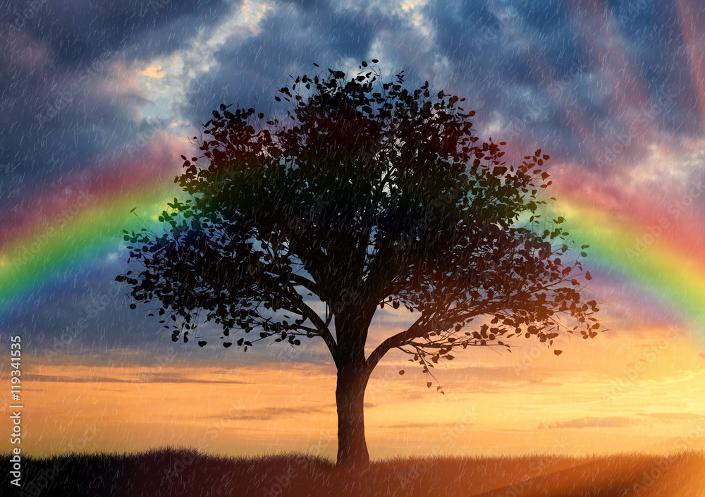 Silhouette of a lone tree