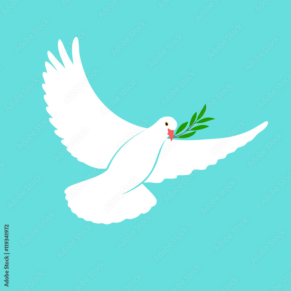 Как выглядит голубь мира White Dove Vector Icon with Olive Branch. Peace Symbol. Pigeon Isolated Logo. Wh