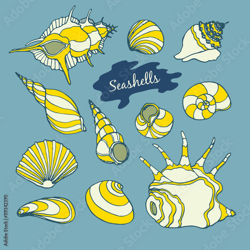 Sea vector collection with seashells