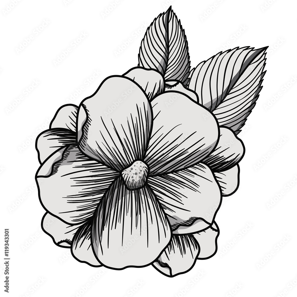 How to draw beautiful flowers? - Step by Step Drawing Guide for Kids-saigonsouth.com.vn
