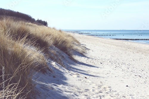 Beach of Darss peninsula (Mecklenburg-Vorpommern)