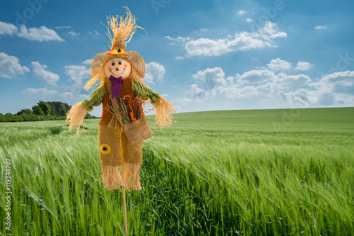 Canvastavla scarecrow in Barley field, England, UK