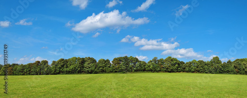 Landschaft mit Wiese, Büschen, Bäumen und leichter Bewölkung am Himmel photo
