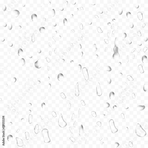 water drops. transparent background. 3d illustration. vector