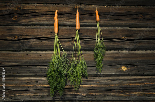 Composition of three carrots with green tops on a wooden background