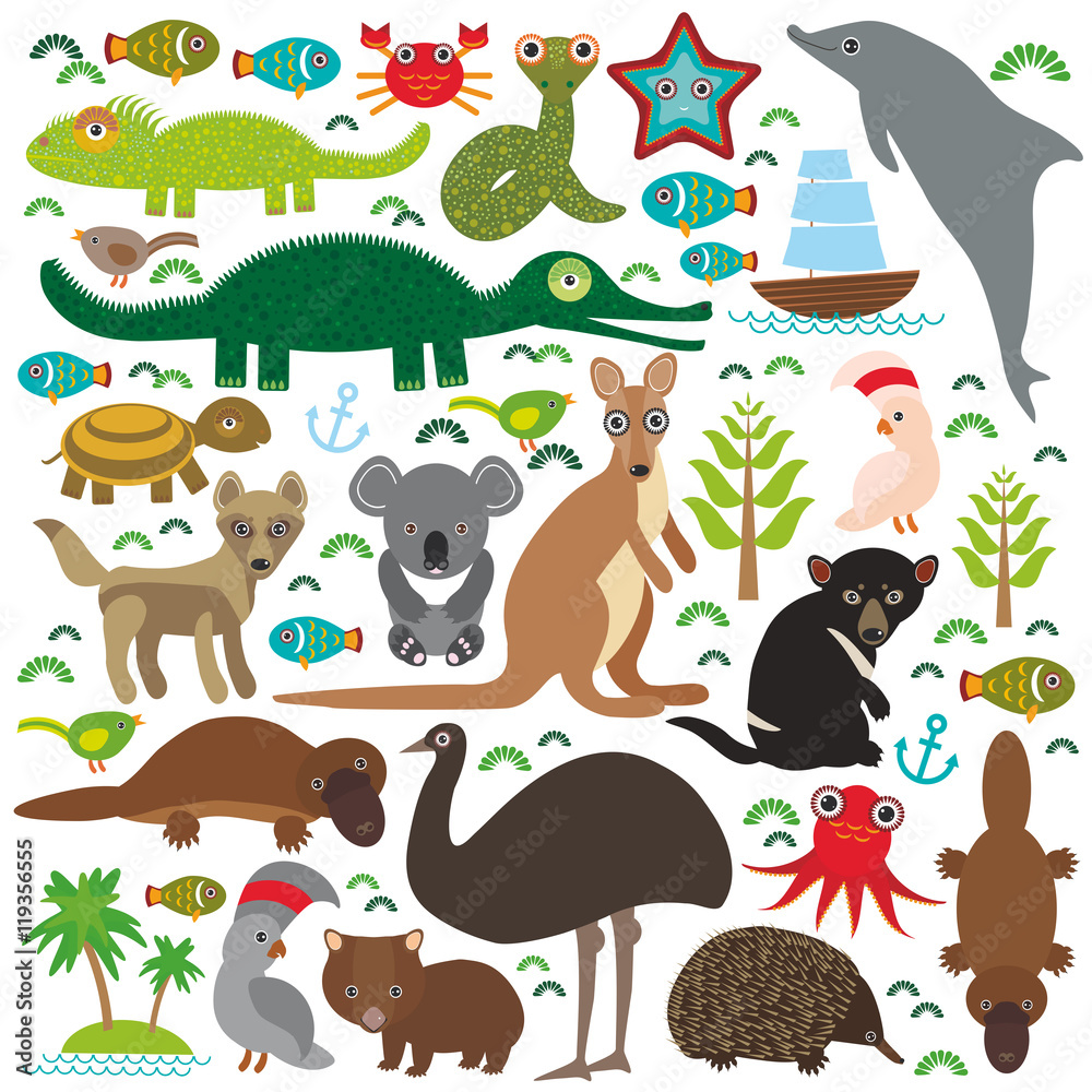Animals Australia: Echidna Platypus ostrich Emu Tasmanian devil ...