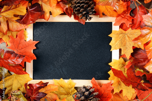 Leere Tafel mit Herbstlaub zum Herbst mit Textfreiraum und Copyspace