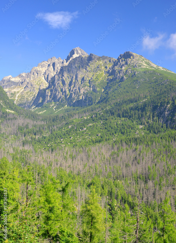 Fototapeta premium Summer mountain landscape. Lomnicky Peak in High Tatras, Slovakia
