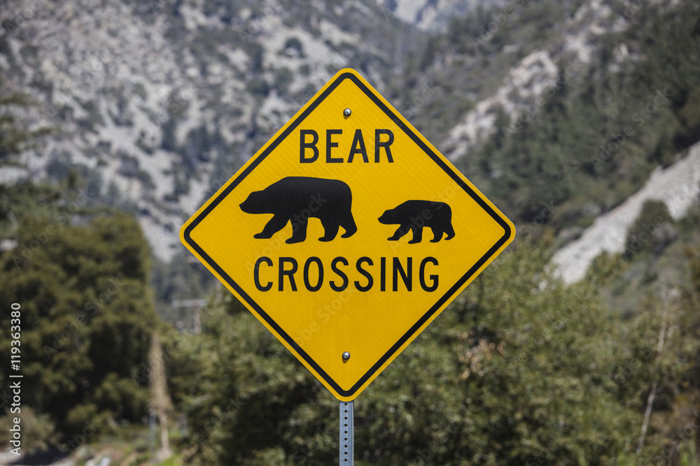 Bear Crossing Highway Sign with National Forest Background
