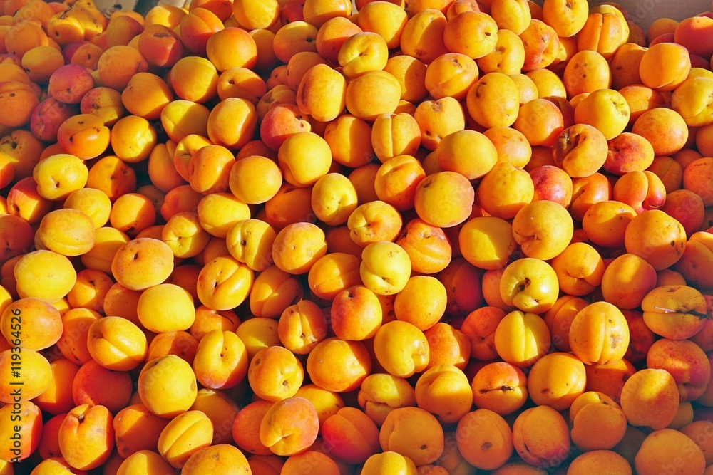 Ripe apricots in bulk at a farmers market Ripe apricots in bulk at a farmers market