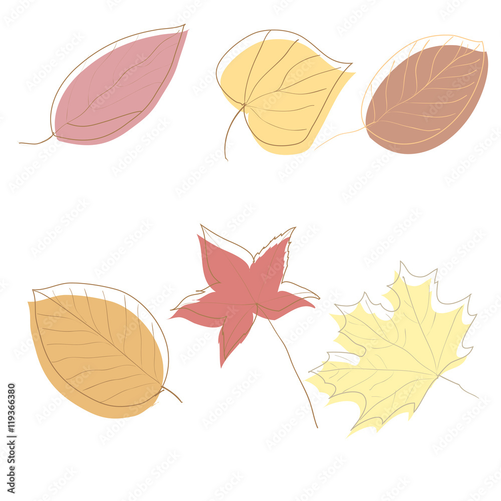 Autumn Leaves on white background , vector illustration