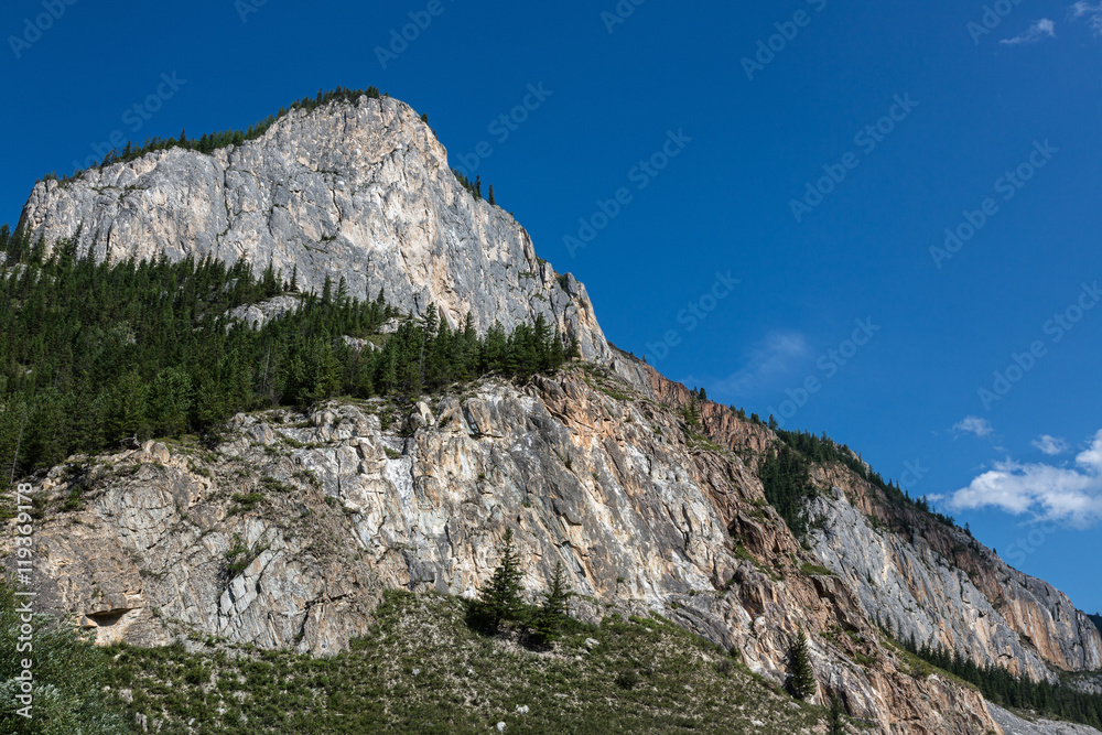 The Altai Republic. The rock and the mountain slopes covered with pine forest. The Altai Republic. The rock and the mountain slopes covered with pine forest.