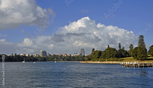 view across the Sydney harbour towards the Royal Botanical Gardens and the Woolloomooloo skyline, Sydney NSW Australia