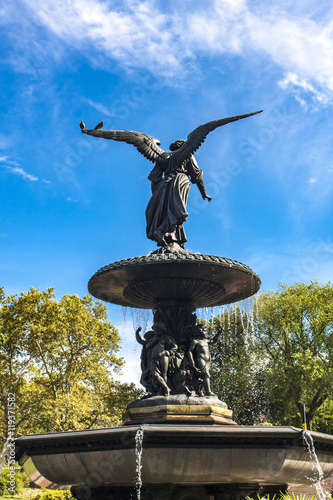Bethesda Fountain in Centra...