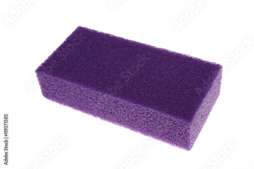 Sponge  violet isolated