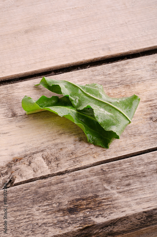 Salad. Vegetables. Ingredients for delicious dish. Salad. Vegetables. Ingredients for delicious dish.