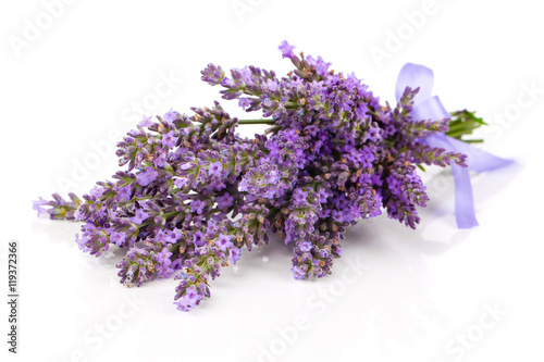 Bunch of lavender flowers on white background