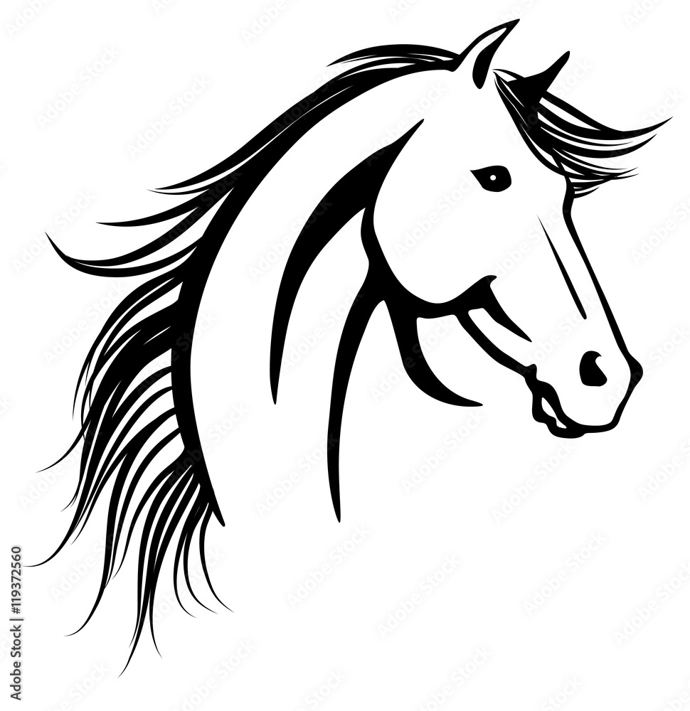 Stylized vector illutration of elegant horse's head