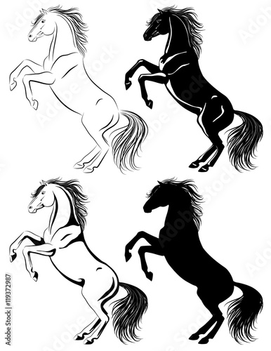 Set of rearing horse illustrations in different techniques