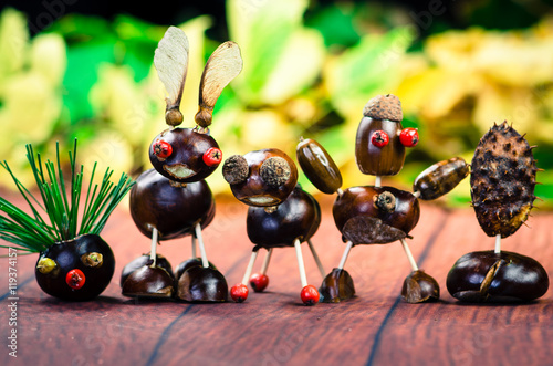 autumn chestnut friends