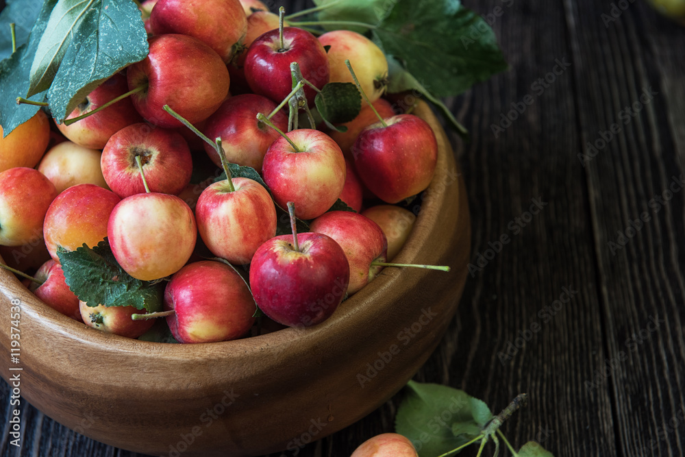 Fresh harvest of apples