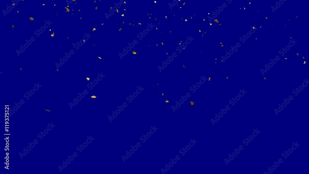 Falling autumn yellow leaves from left to right in slow motion, far wide view, with start and end, isolated on alpha channel with blue chroma key, perfect for digital composition, film video mapping Falling autumn yellow leaves from left to right in slow motion, far wide view, with start and end, isolated on alpha channel with blue chroma key, perfect for digital composition, film video mapping