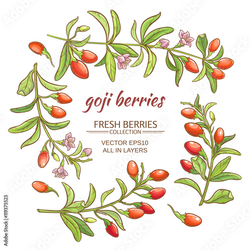 goji berry