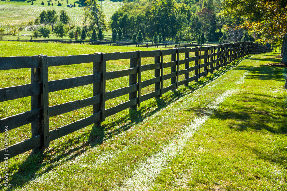 Fence Line and Field