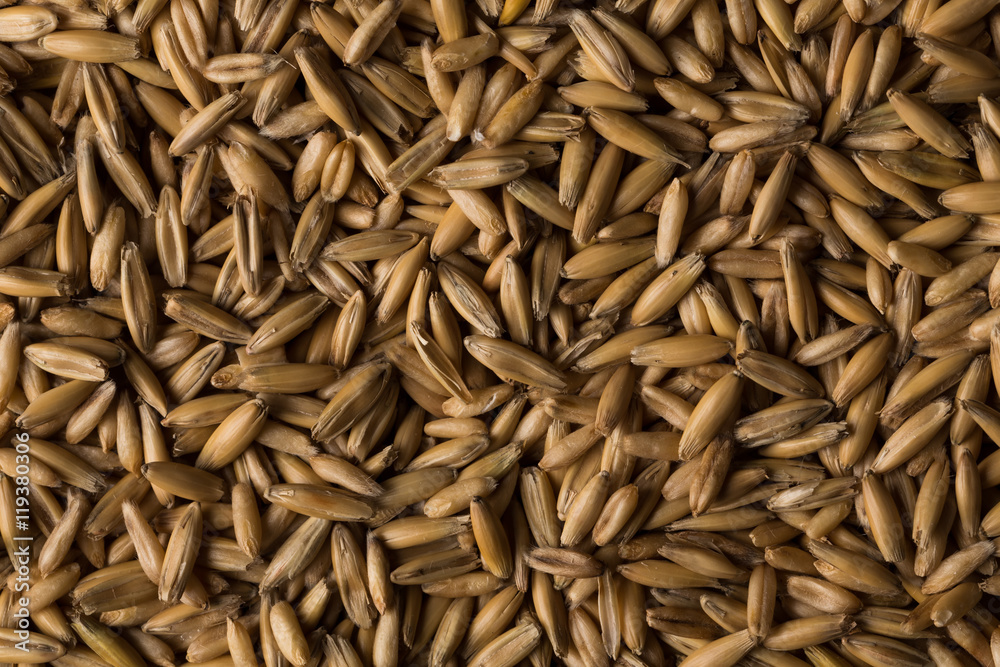 natural oat grains background, closeup