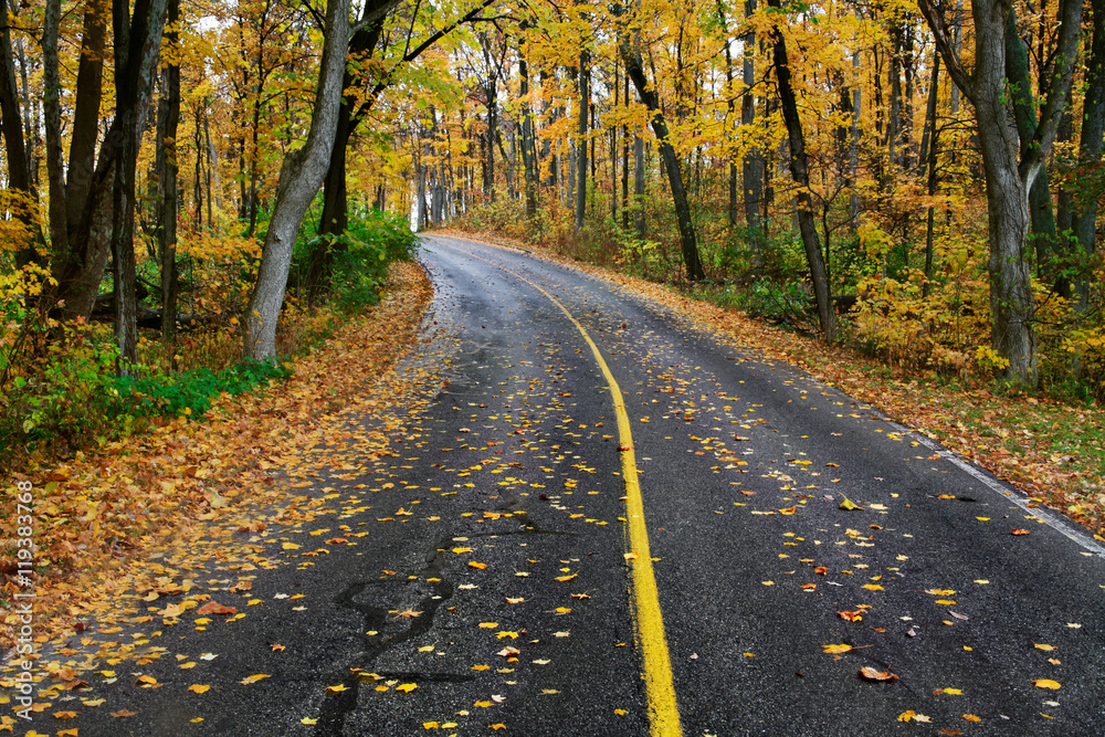 Fototapeta premium Autumn Road
