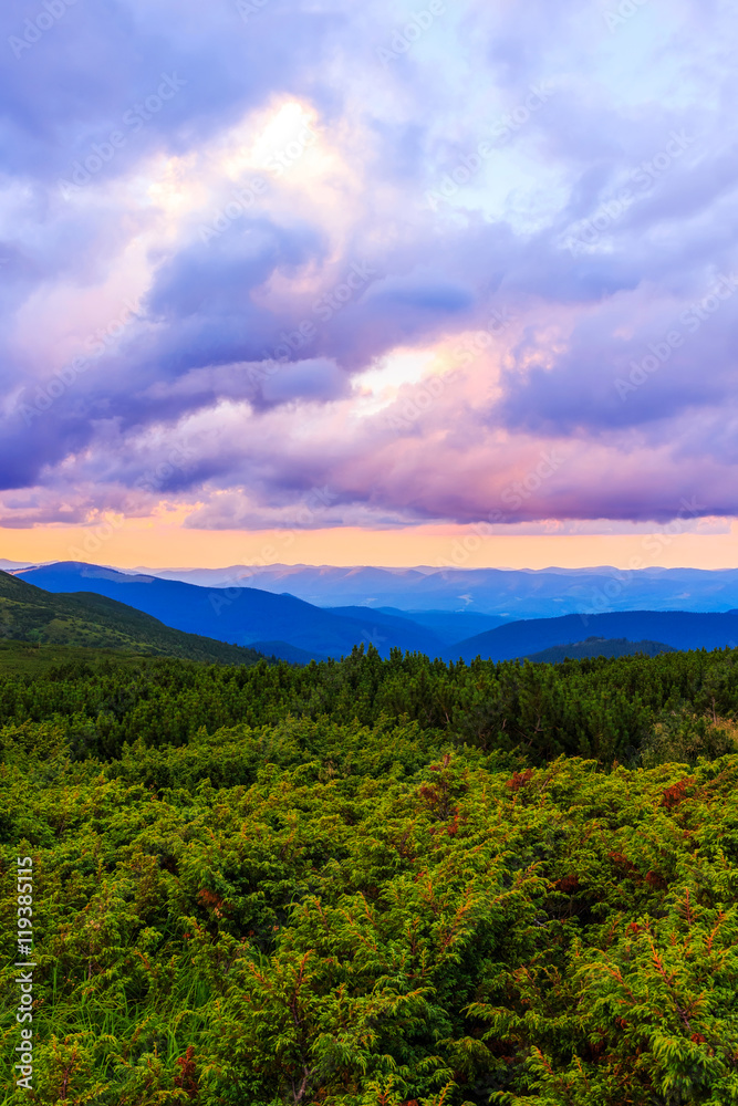 Fototapeta premium Picturesque and dramatic Carpathian mountains landscape, sunset evening time, Ukraine.