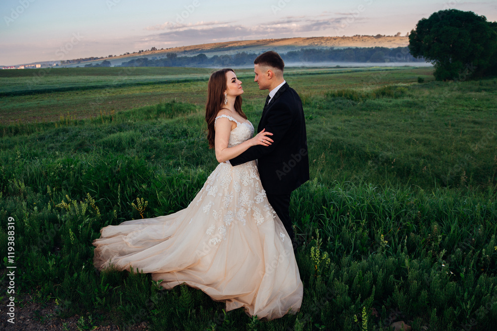 Colorful fields spread around the chic wedding couple hugging on