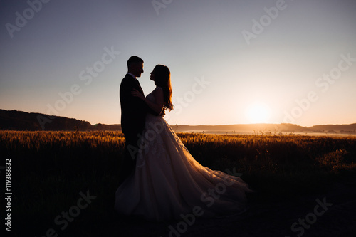 Silhouettes of luurious wedding couple hugging on the evening fi