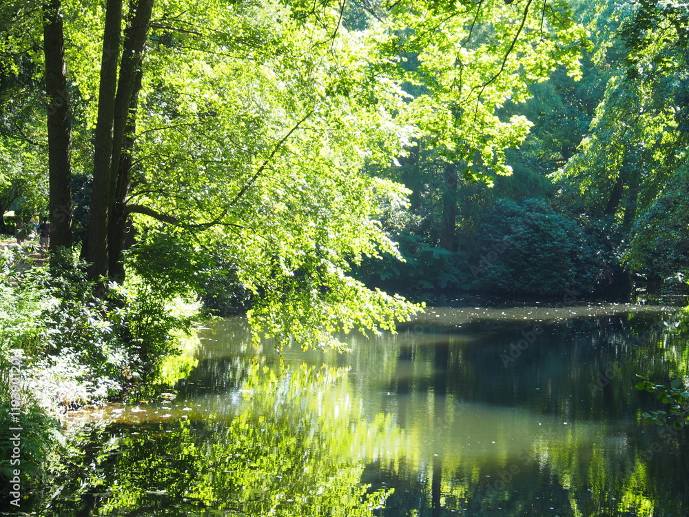Berlin: Wasserlauf im Tiergarten Park Berlin: Wasserlauf im Tiergarten Park