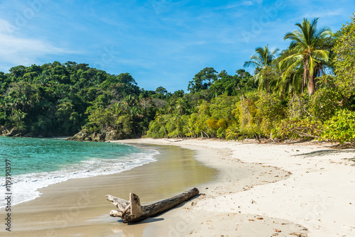 Fototapeta Naklejka Na Ścianę i Meble -  Manuel Antonio, Costa Rica - beautiful tropical beach