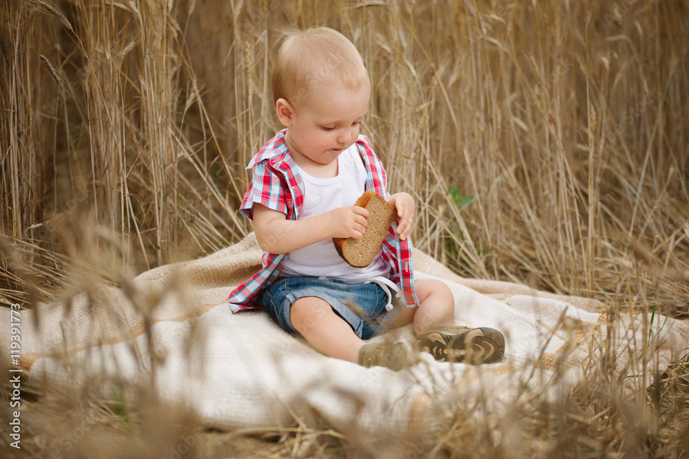 cute little boy in autumn wheat field cute little boy in autumn wheat field