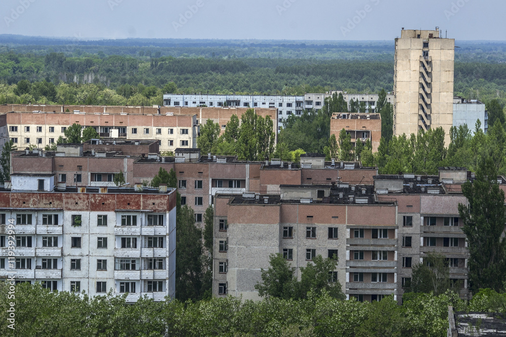Nature wins the ghost town of Pripyat near the Chernobyl nuclear power plant