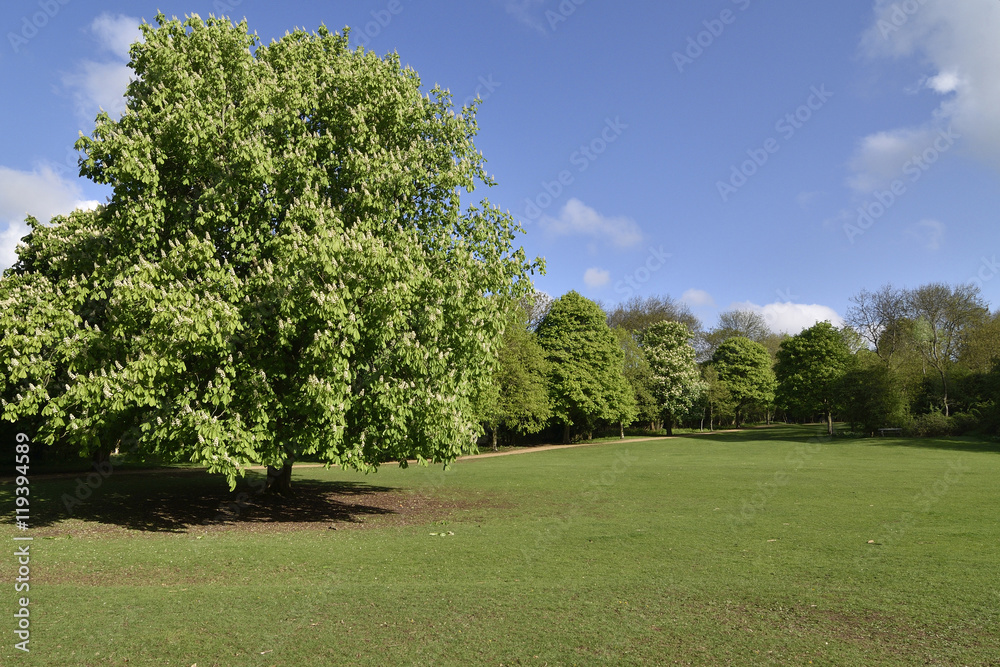 イギリスの田園都市 レッチワースの公園 ノートンコモン Stock Photo Adobe Stock