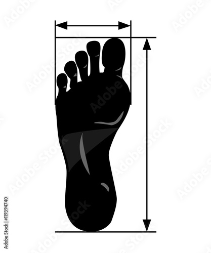 Vector foot size with pointer