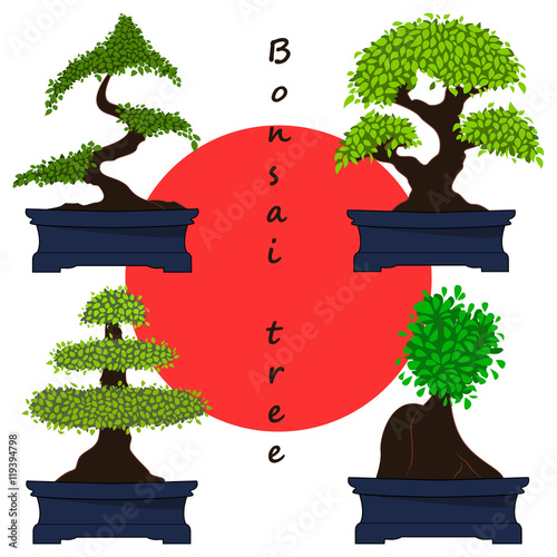 Set of Bonsai Trees.