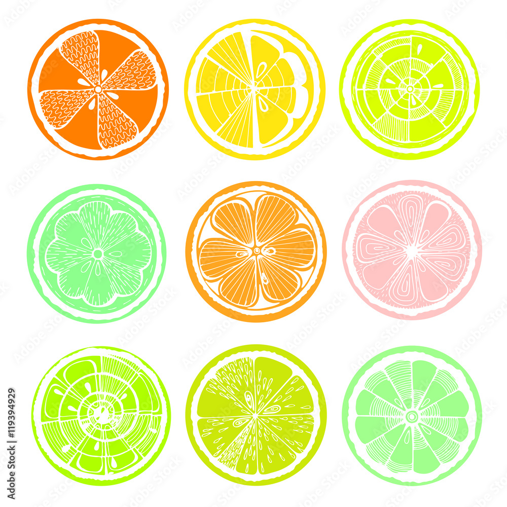 Lemon, orange and grapefruit on white background. Hand-drawn citrus. Stylized graphics.