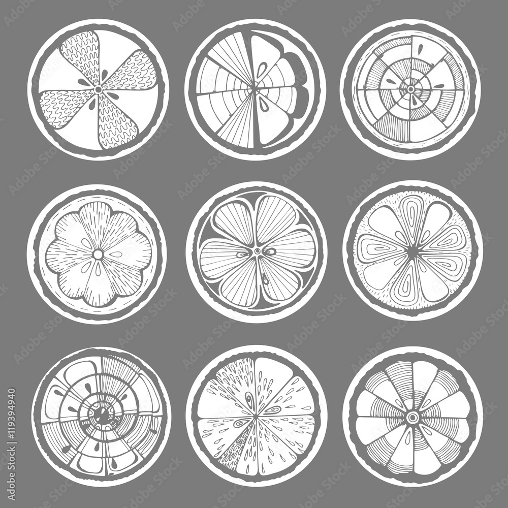 Lemon, orange and grapefruit white on a dark background. Hand-drawn citrus. Stylized graphics. Vector illustration Lemon, orange and grapefruit white on a dark background. Hand-drawn citrus. Stylized graphics. Vector illustration