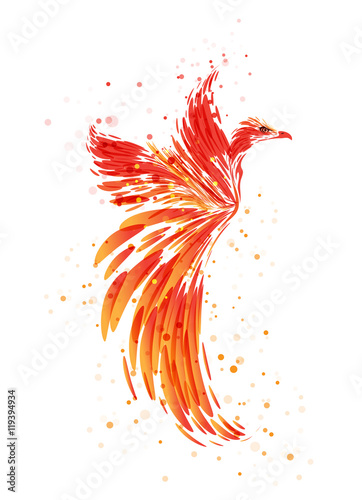 Phoenix - Mythical Bird on white