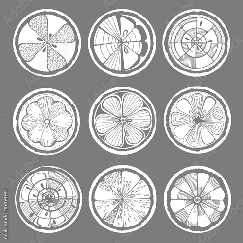 Lemon, orange and grapefruit white on a dark background. Hand-drawn citrus. Stylized graphics. Vector illustration