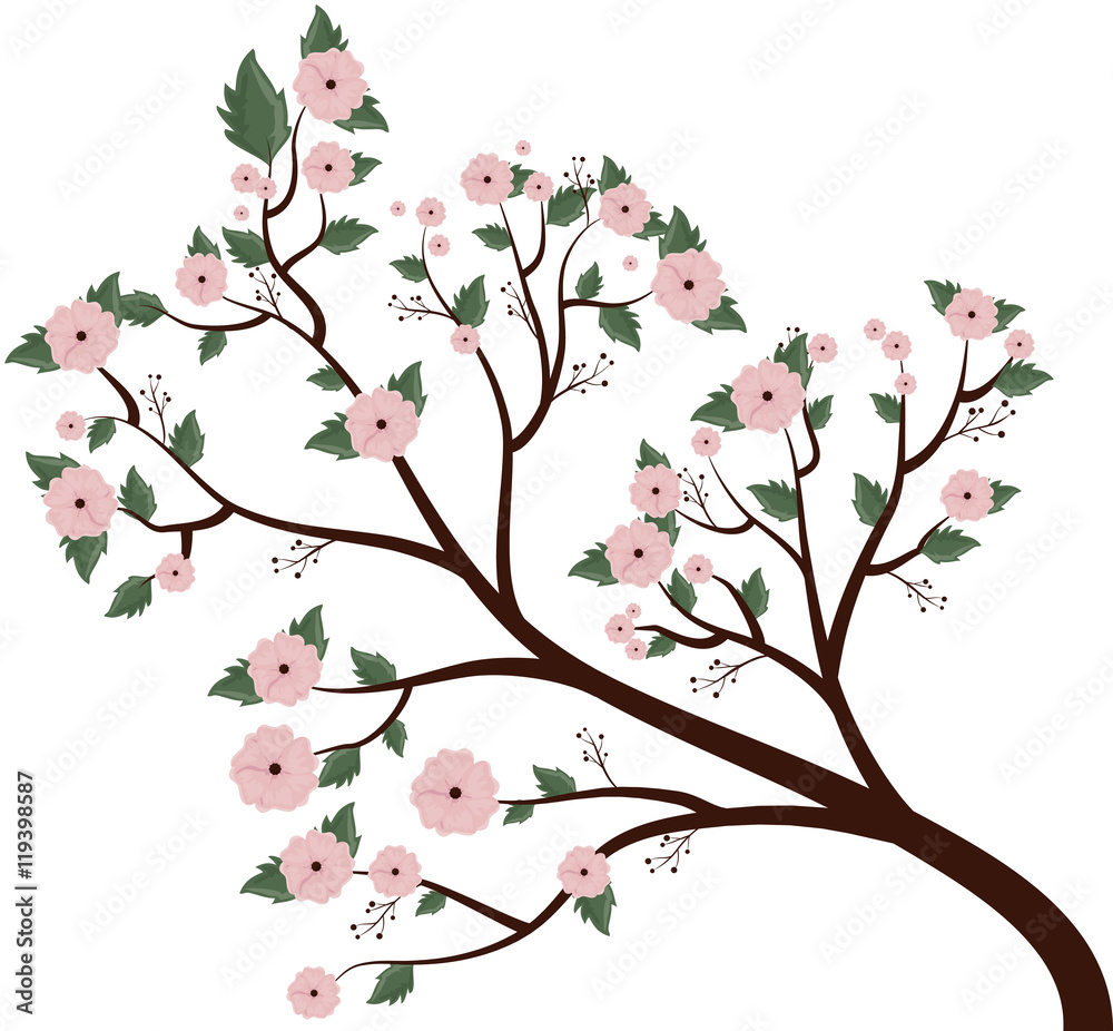 beautiful flowers decoration background vector illustration design beautiful flowers decoration background vector illustration design